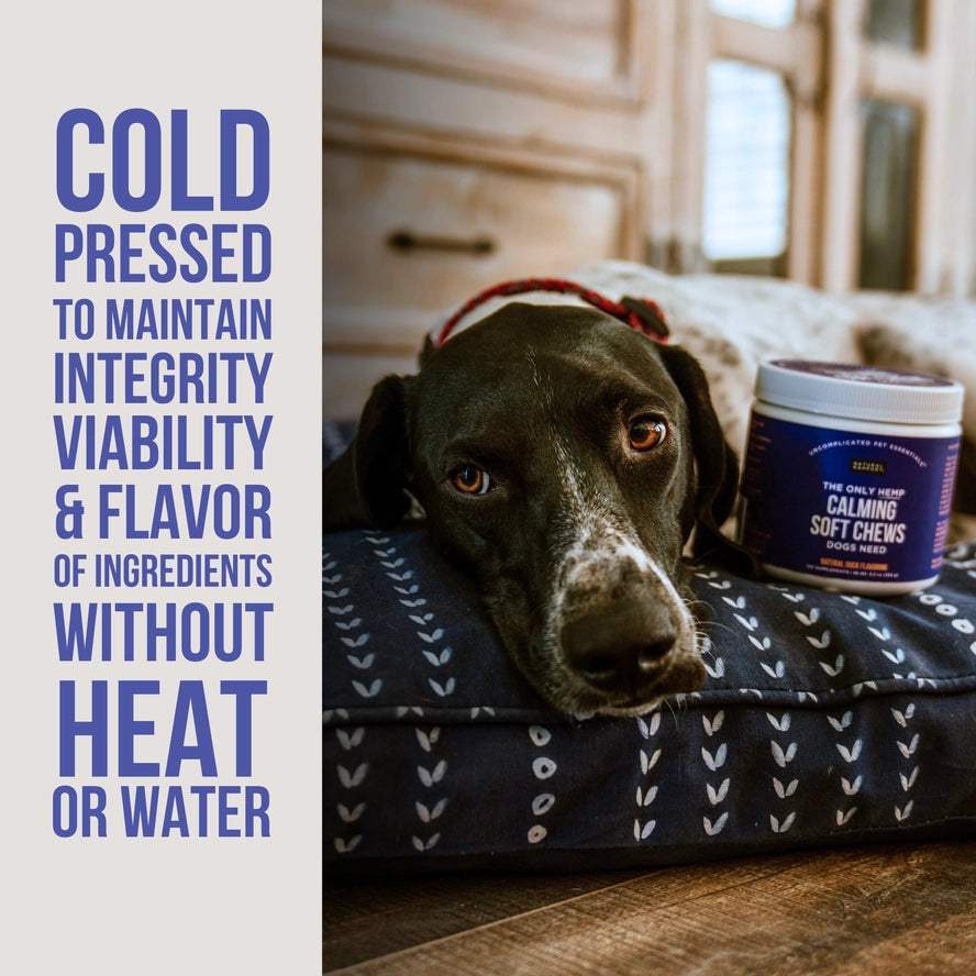 The Only Hemp Calming Soft Chews Dogs Need